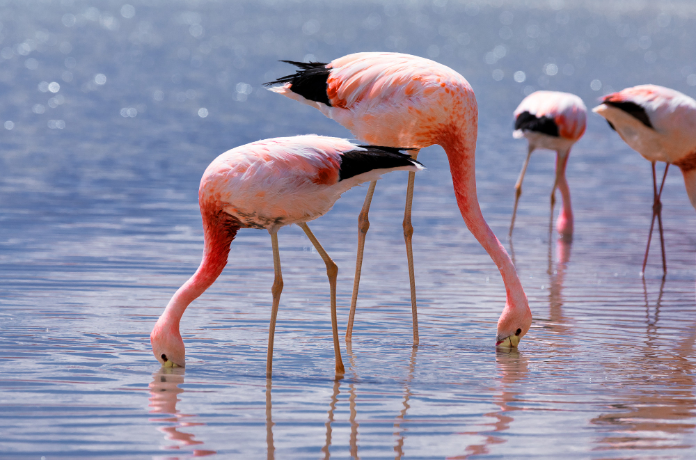 5 Hidden Gems in Naivasha You Won’t Find on Google