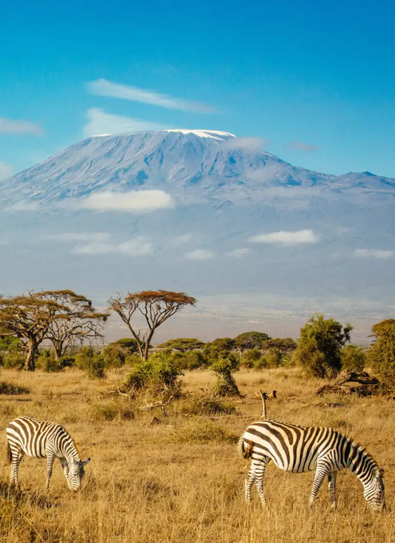 3 days amboseli fly in kenya safari 3