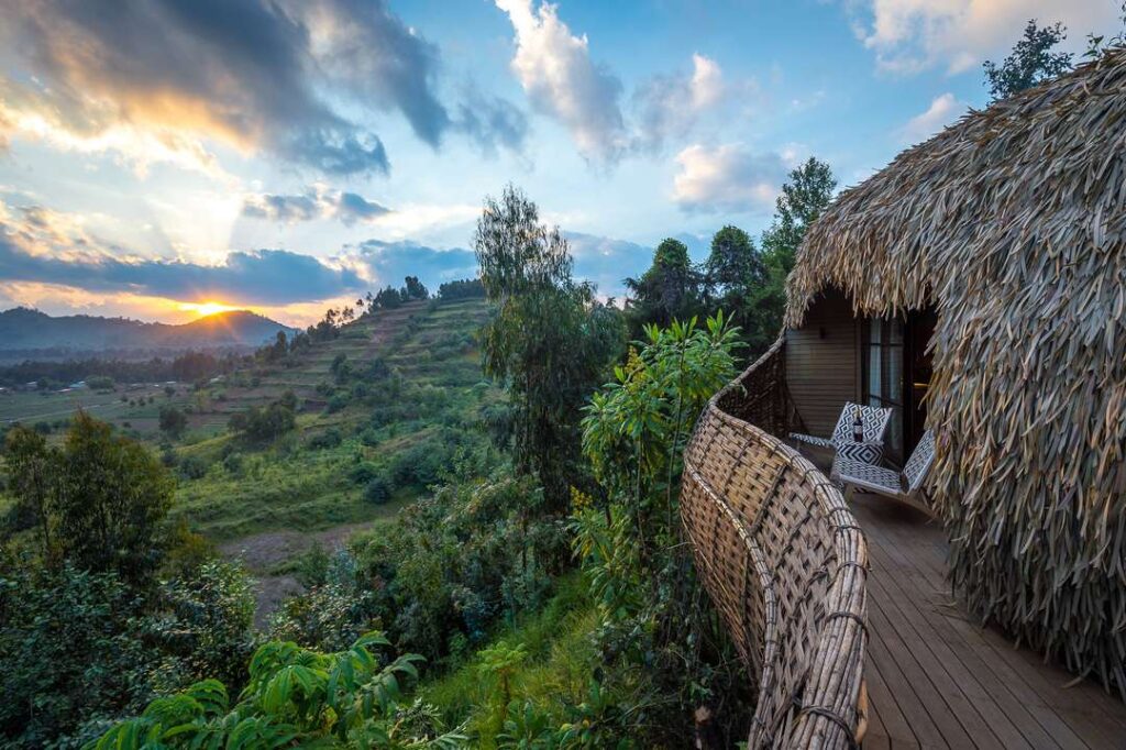 Bisate Lodge banner view