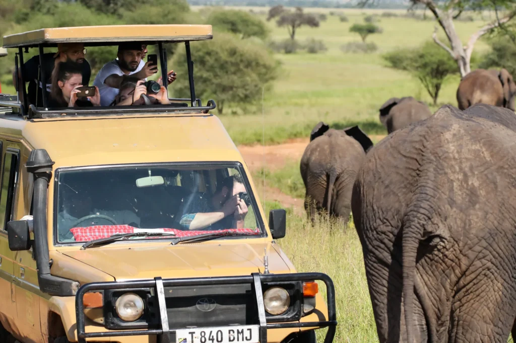 Safari guide and vehicle in the African bush