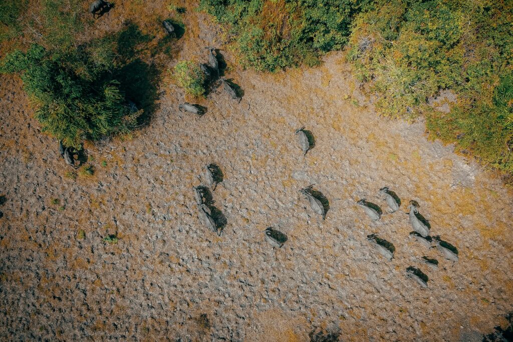 Okavango Delta permanent water channels