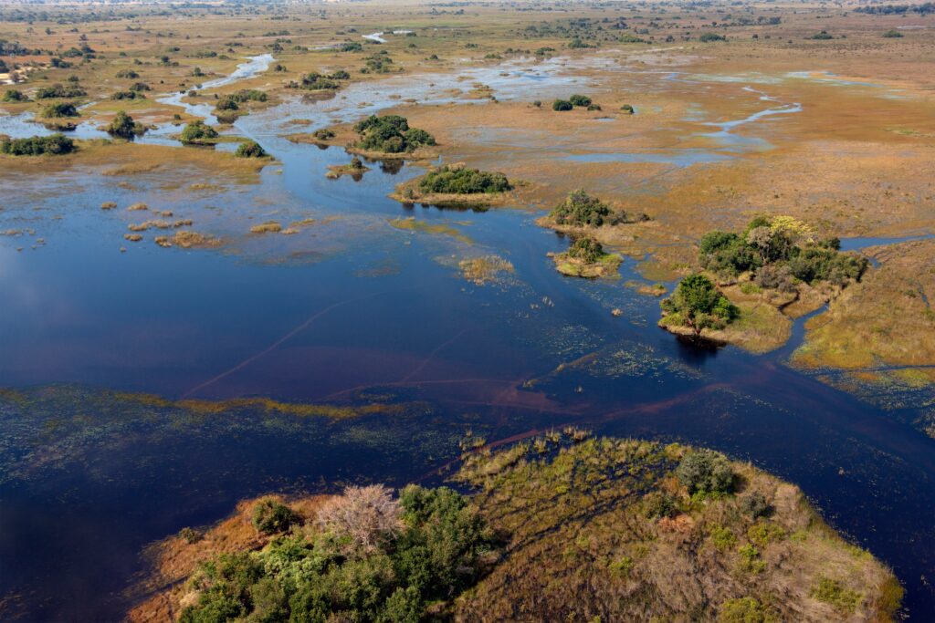 Okavango Delta landscape, Botswana
