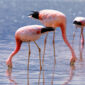 5 Hidden Gems in Naivasha You Won’t Find on Google