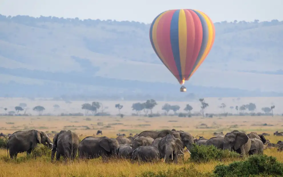 masai-mara-fly-in-safari (1)