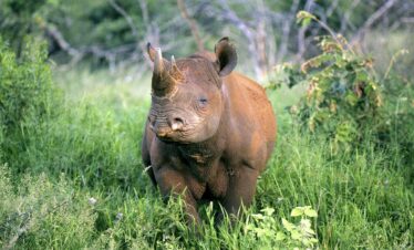 3 Days / 2 Nights – The Meru Wilderness Escape