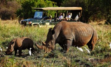 Signature Meru "Untamed Frontier"