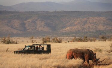 Visit-Lewa-Downs-Conservancy
