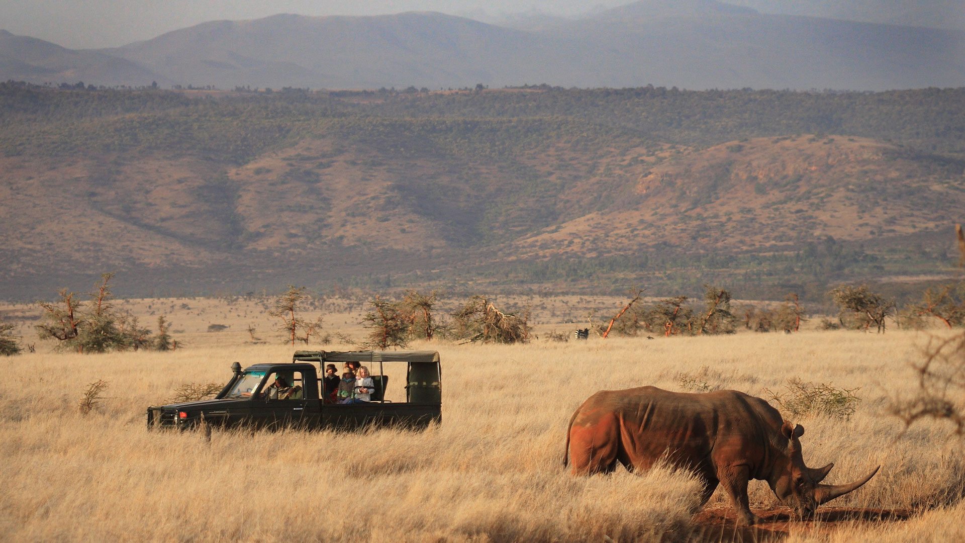 Visit-Lewa-Downs-Conservancy