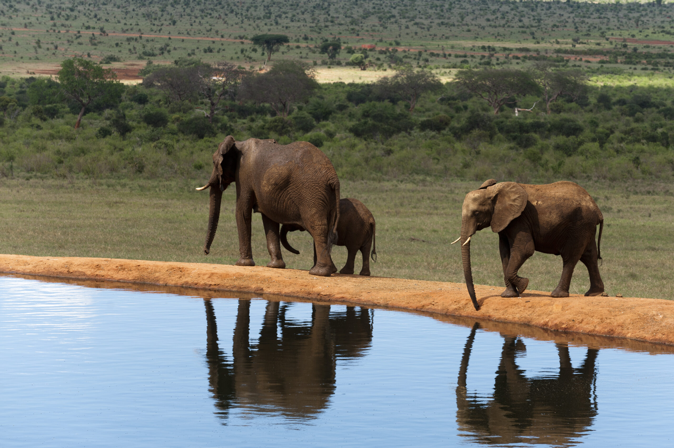 4 Days / 3 Nights – Signature Tsavo "Wilderness & Water"
