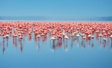 3 Days / 2 Nights – Signature Nakuru Experience Itinerary