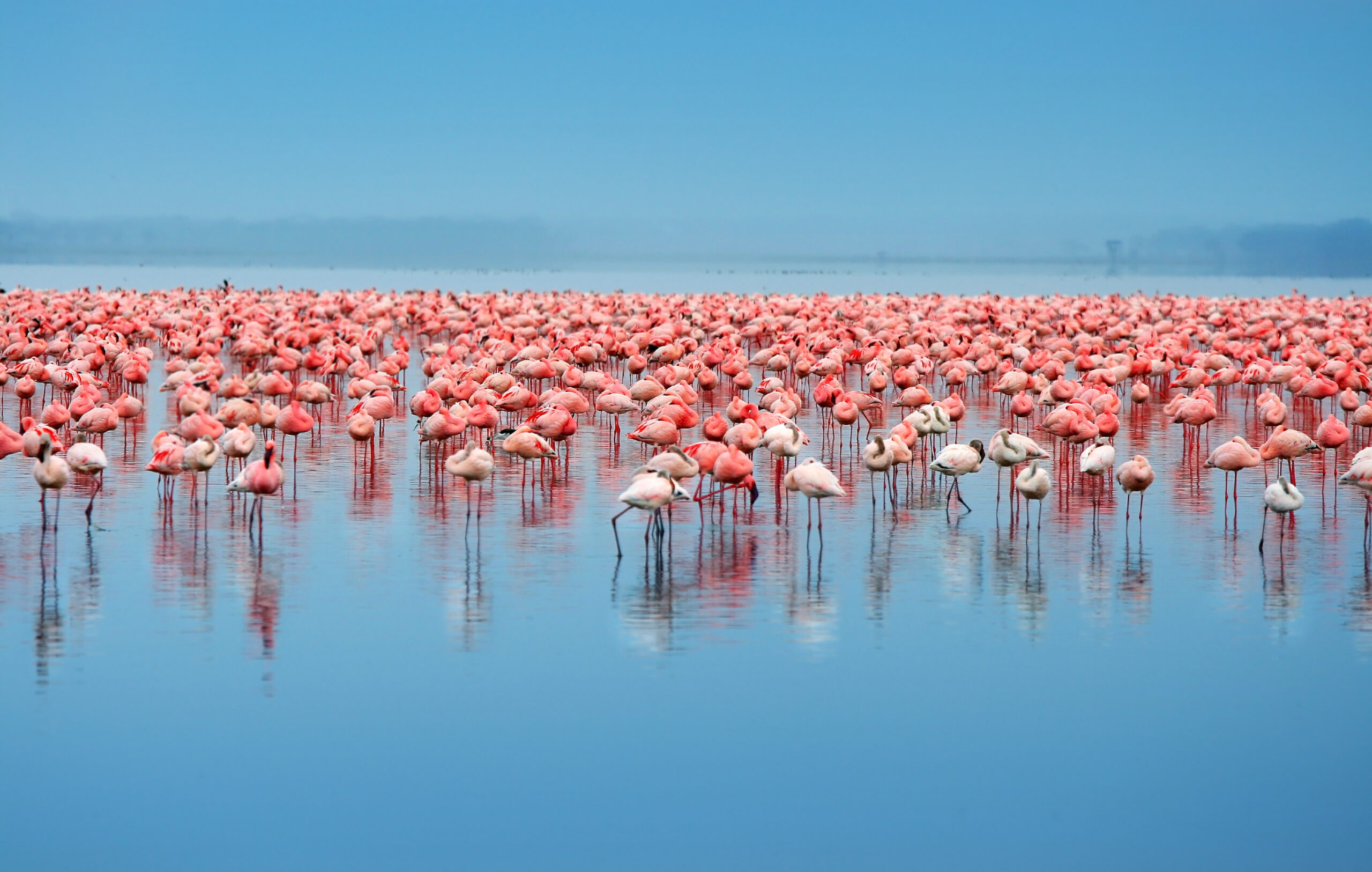 3 Days / 2 Nights – Signature Nakuru Experience Itinerary