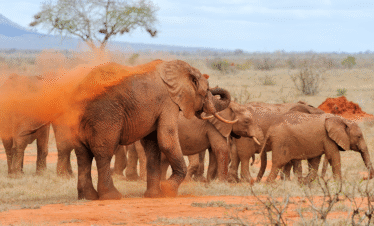 3 Days / 2 Nights – Classic Samburu Escape Itinerary