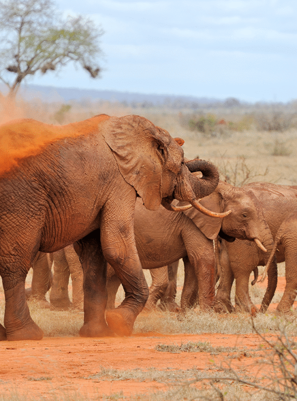3 Days / 2 Nights – Classic Samburu Escape Itinerary