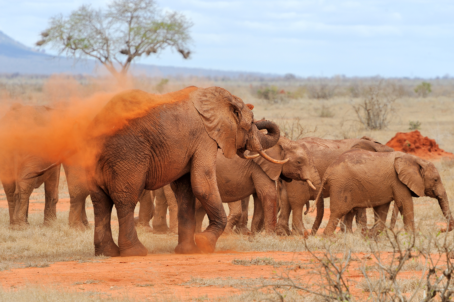 3 Days / 2 Nights – Classic Samburu Escape Itinerary