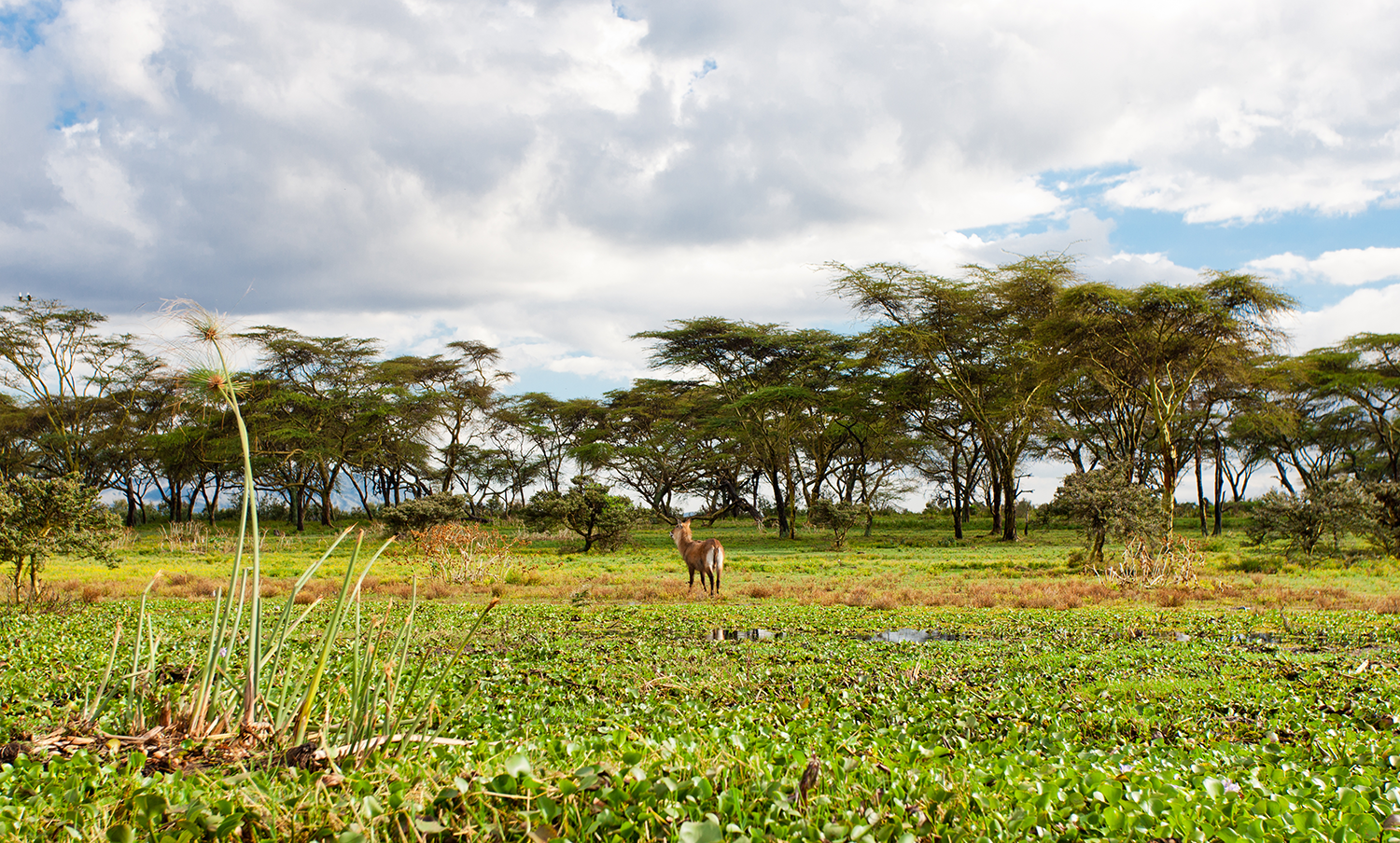 3 Days / 2 Nights – Signature Naivasha & Beyond