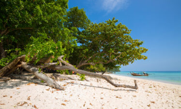 The Ultimate Bush to Beach Safari