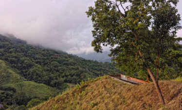 The "Rainforest & Relaxation"