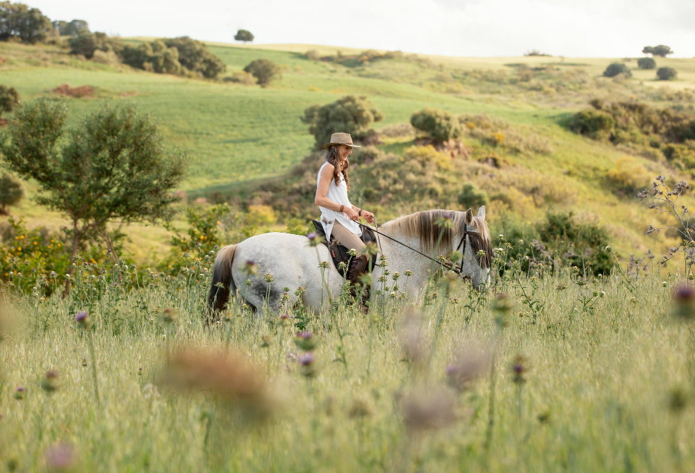 Horseback Safari