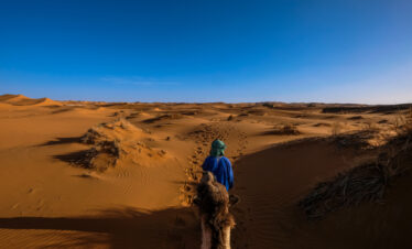  The Ultimate Arabian Experience