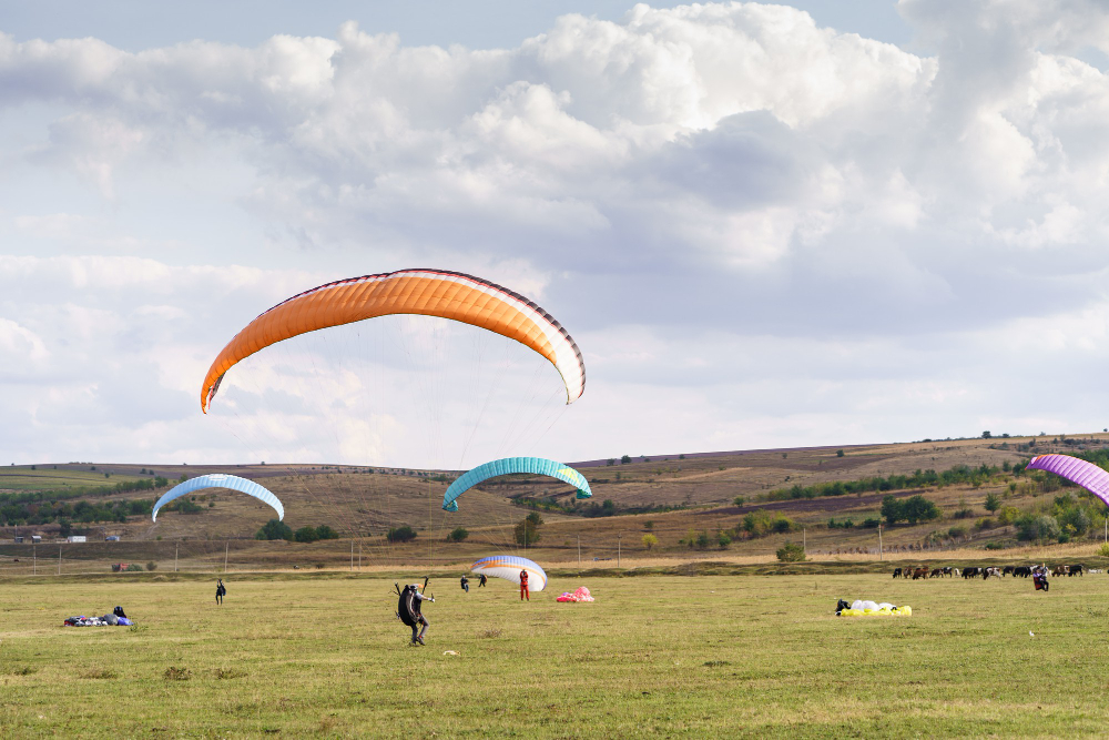 Aerial Safaris & Paragliding