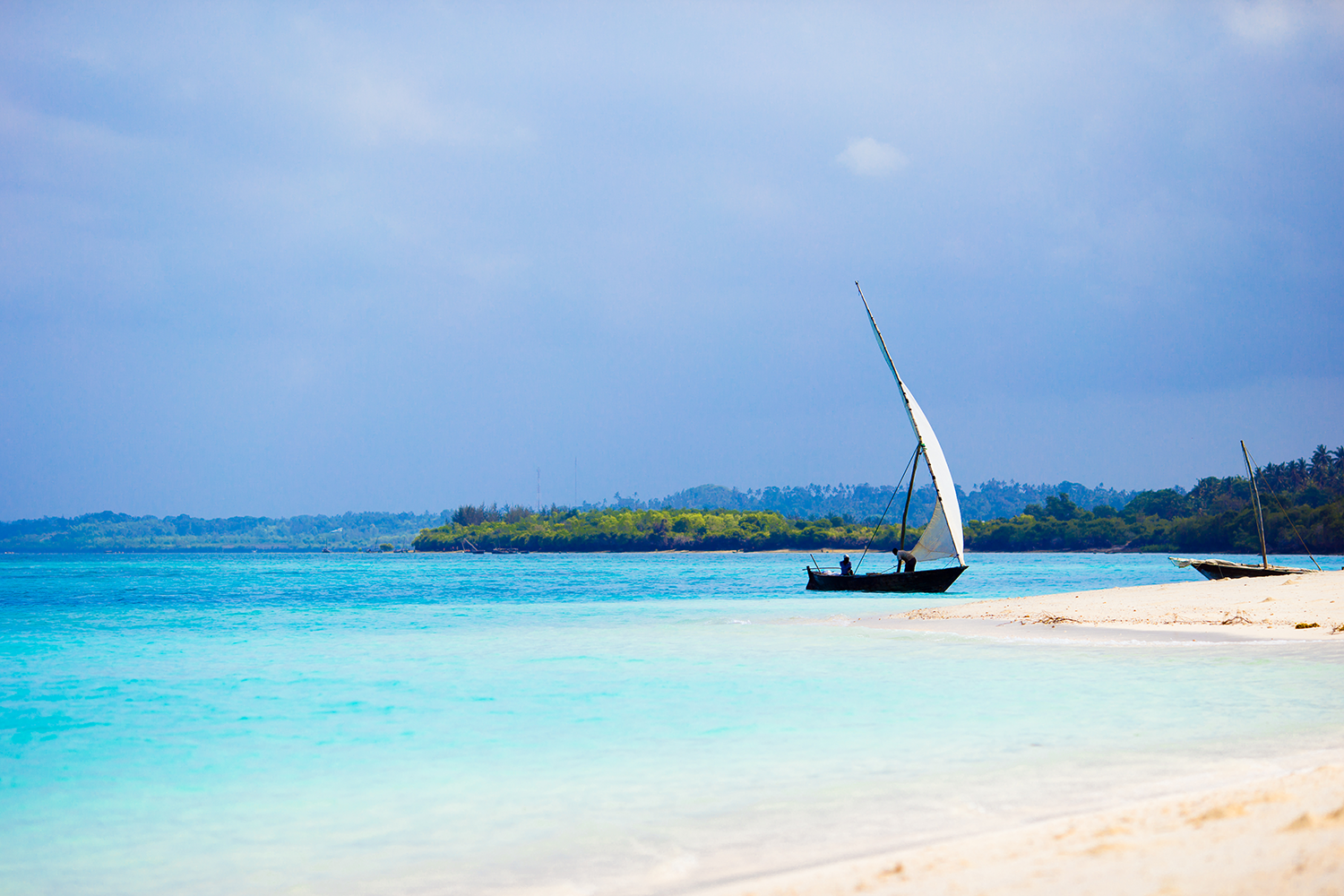 Dhow Sailing