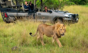 The Complete Akagera Experience