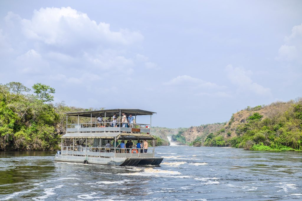 The "Delta & Chimps" Adventure