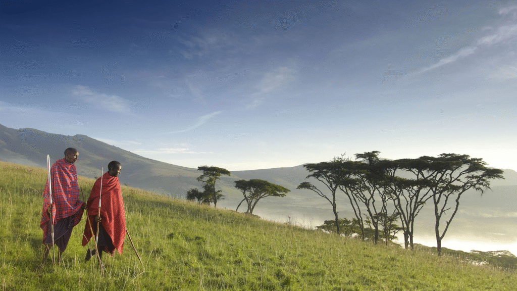 Signature Ngorongoro "Cradle of Life"