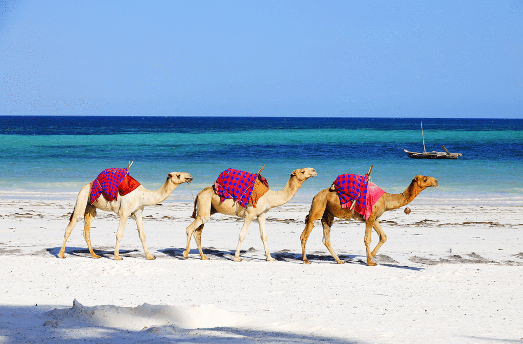 diani