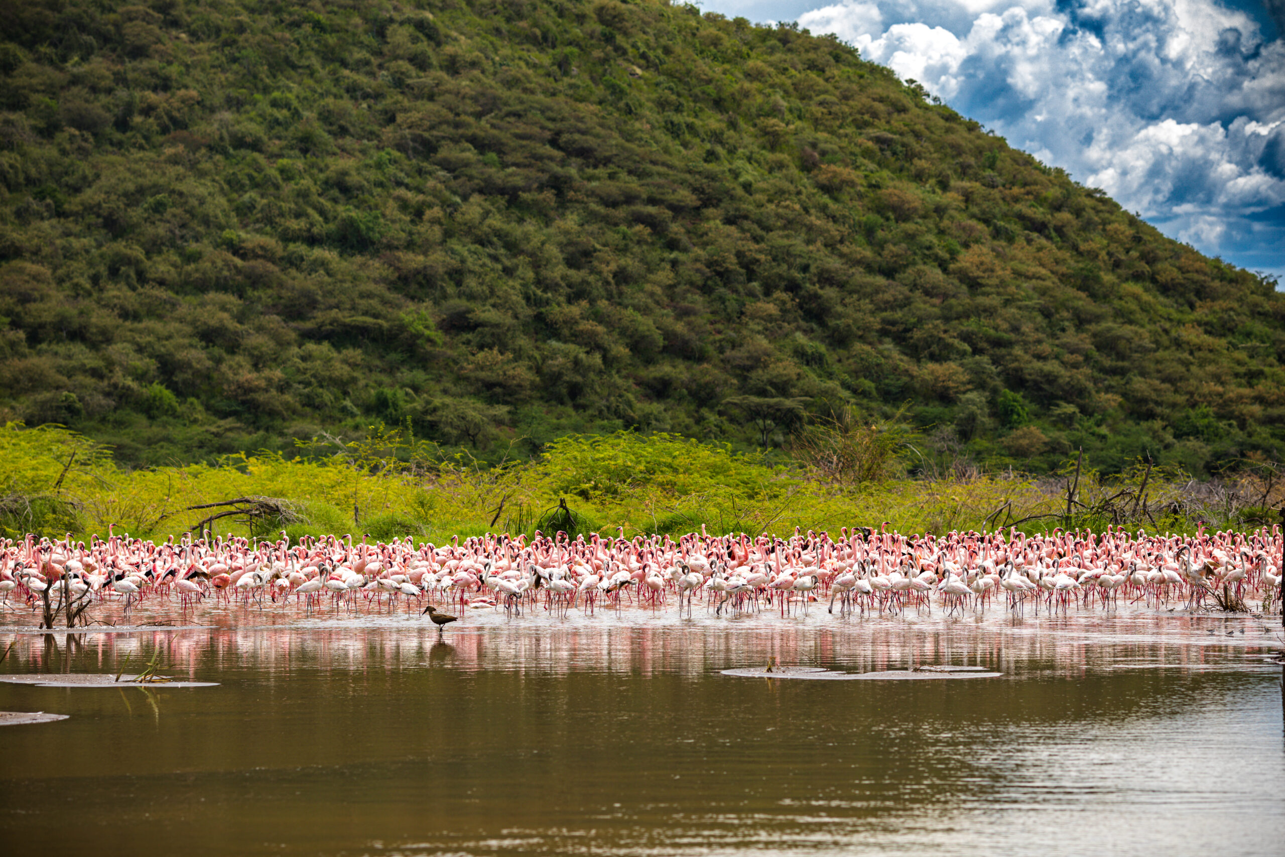 The Rift Valley Waters Escape