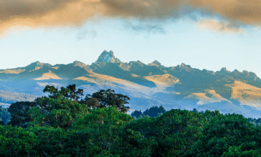 The Misty Highlands Escape