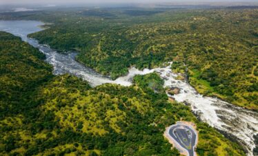 The “Big Five” & The Falls