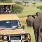 What Makes a Great Safari Operator? Behind the Scenes at Maudie Safaris
