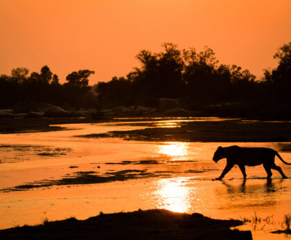 Okavango Delta Climate Guide: The Best and Worst Months for a Safari