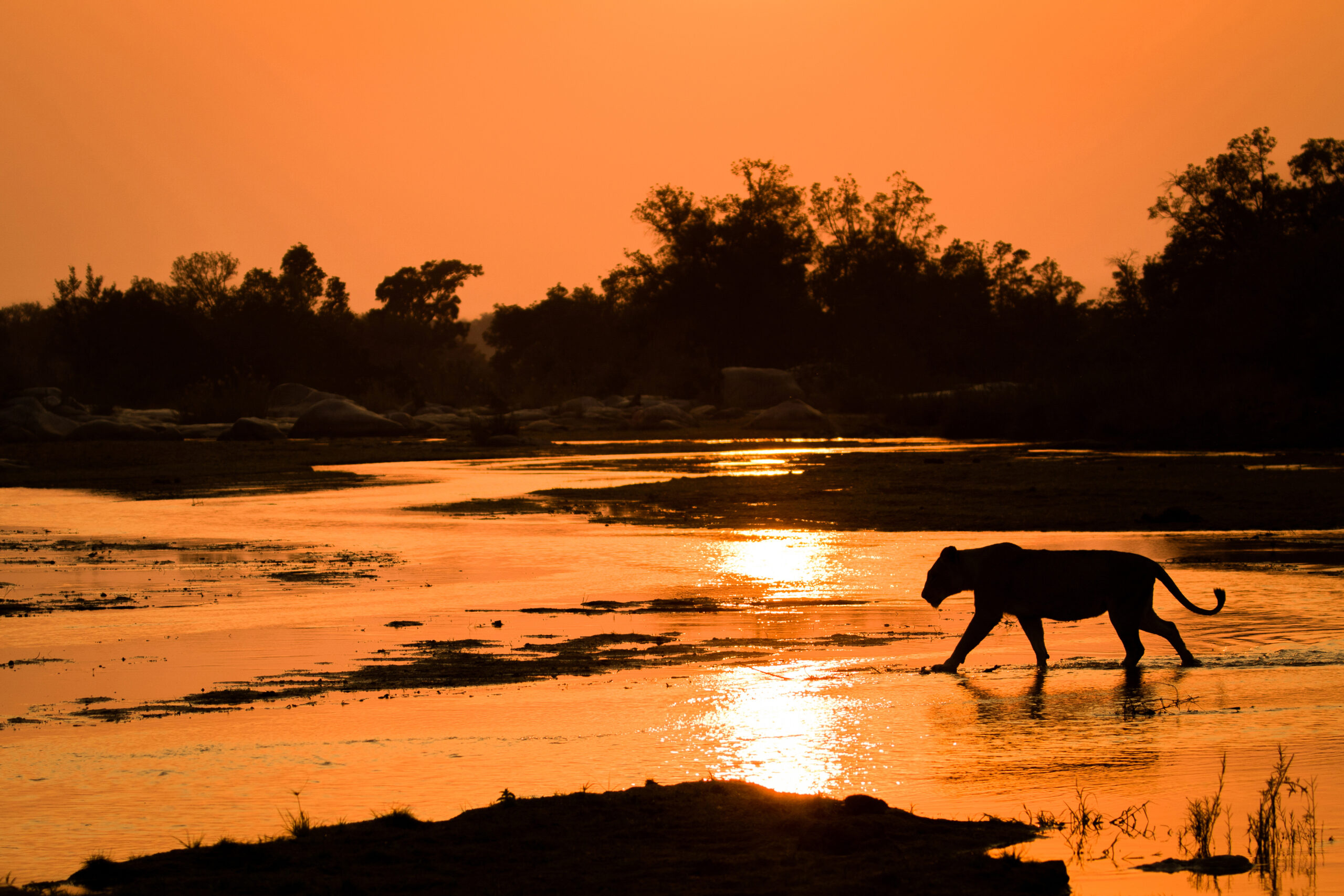 Okavango Delta Climate Guide: The Best and Worst Months for a Safari