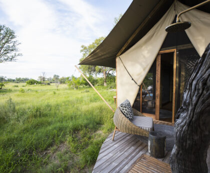 Luxury Safari Hotels vs Tented Camps: Which Offers the Best Africa Experience?